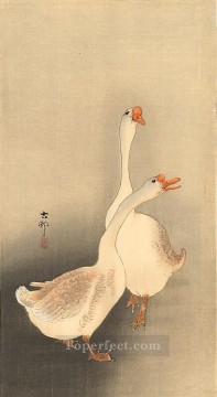  blancos Pintura - dos gansos blancos aves Ohara Koson